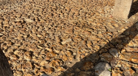 Calade pierres Vitot (27)