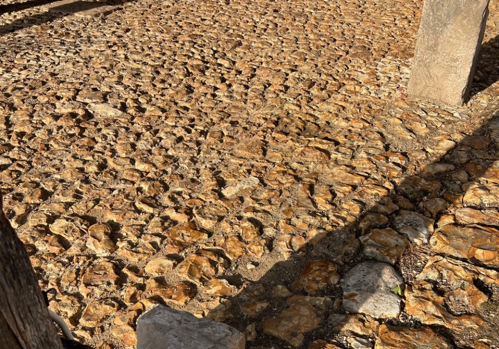 Calade pierres Vitot (27)